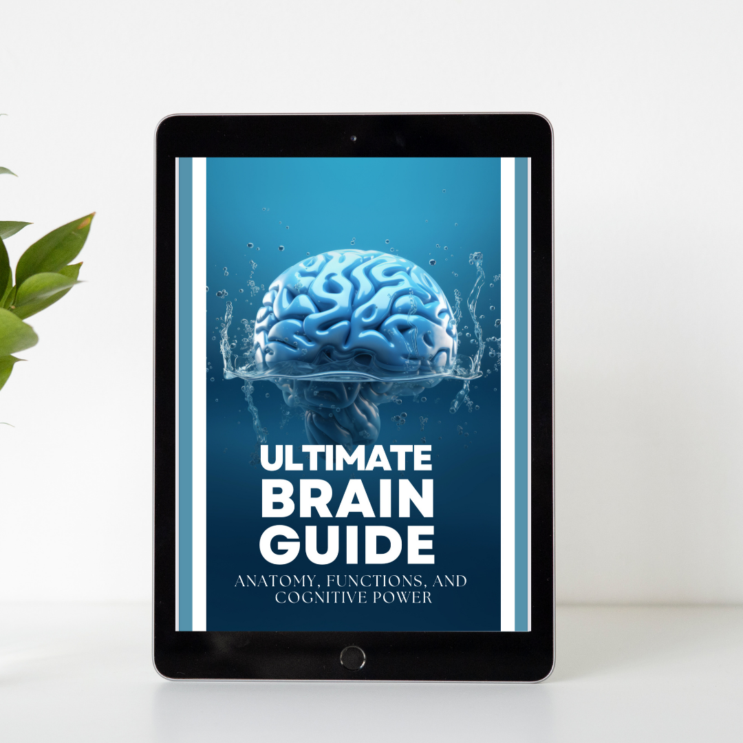 The Ultimate Brain Guide: Anatomy, Functions, and Cognitive Power by AICS Group